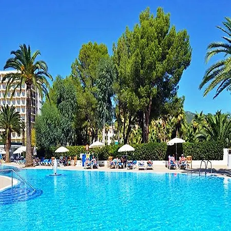 Sol Palmanova